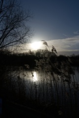 River Great Ouse, Bedford