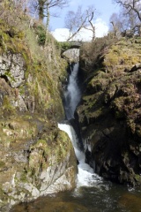 Aira Force