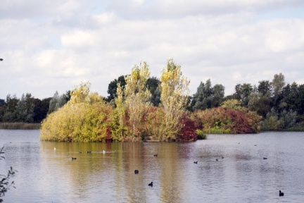 Ferry Meadows - Peterborough